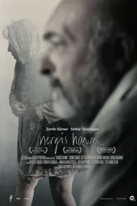 Nergis Hanım izle