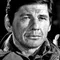 Charles Bronson filmleri